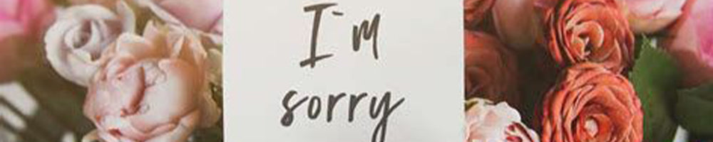 I Am Sorry Flowers
