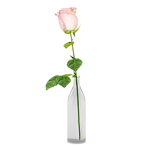 Single Pink Rose