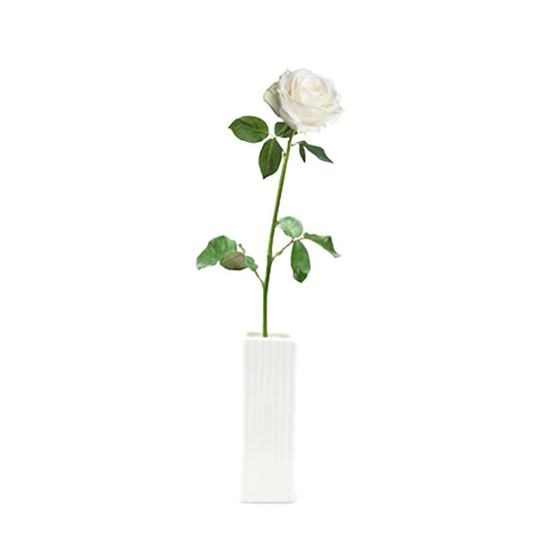 Single White Rose