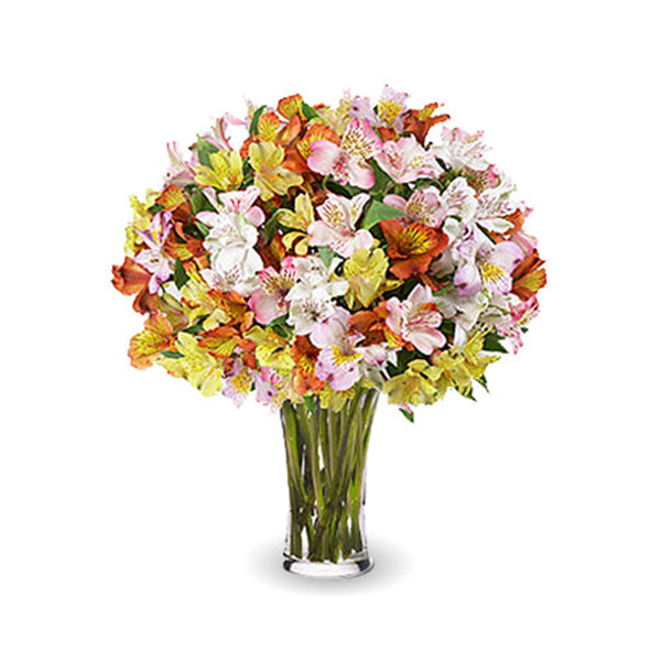 Sparkling Peruvian Lilies