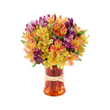 Impressive Peruvian Lily