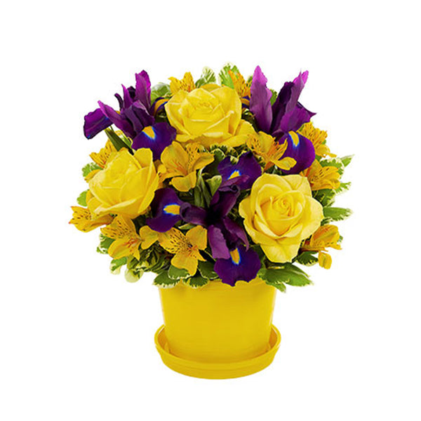The Sunny Bouquet