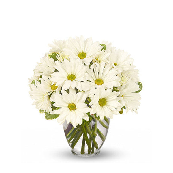 White Daisy Bouquet