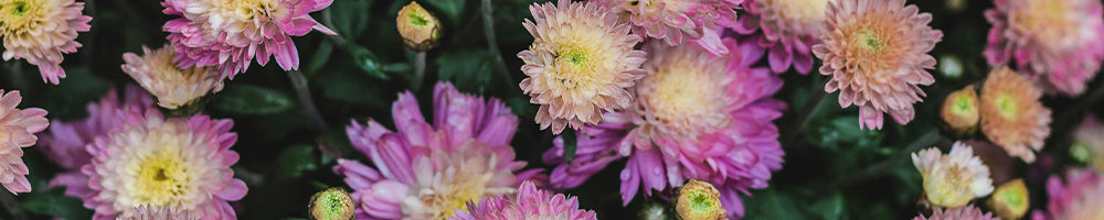 Florist Designed Bouquets