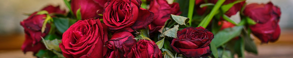 Love Romance Flowers
