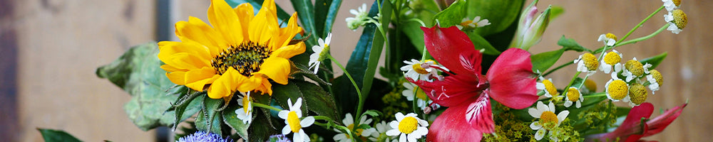 Thank You Flowers